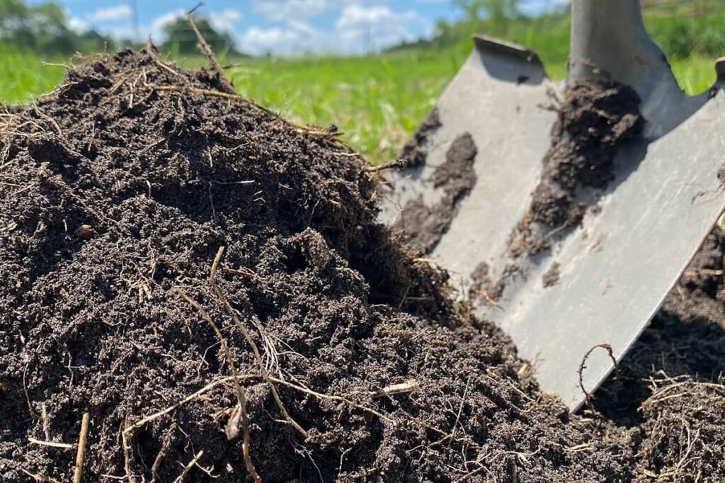Organic manure & Fertilizer