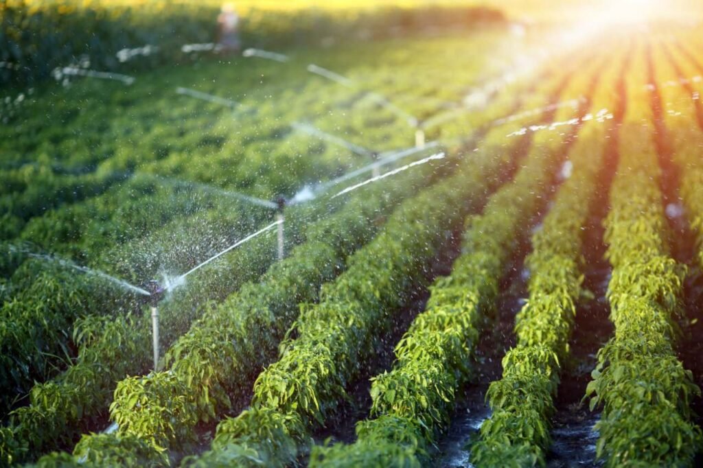 Irrigation system